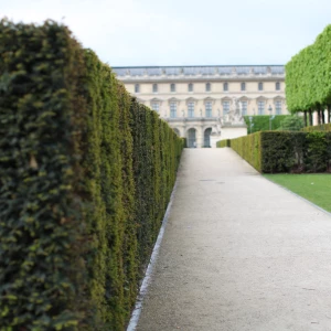 Élagueur 17 assurant une pose professionnelle de gazon pour des pelouses éclatantes.
